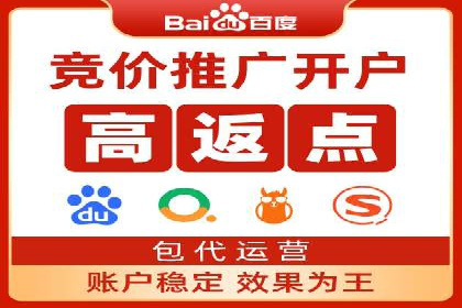 Sem优化公司实例：电商流量提升策略